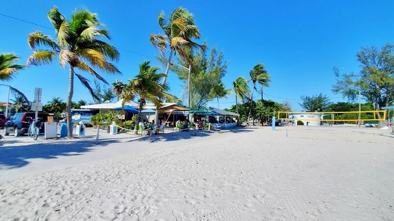 key west chickens at Higgs Beach. wild chicken in the florida keys. key west travel blog