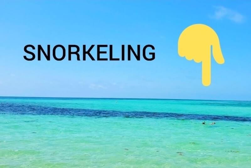 Bahia Honda State Park snorkeling from shore: Loggerhead Beach snorkeling. Best Florida Keys snorkeling from shore. lower keys snorkeling. florida travel blog