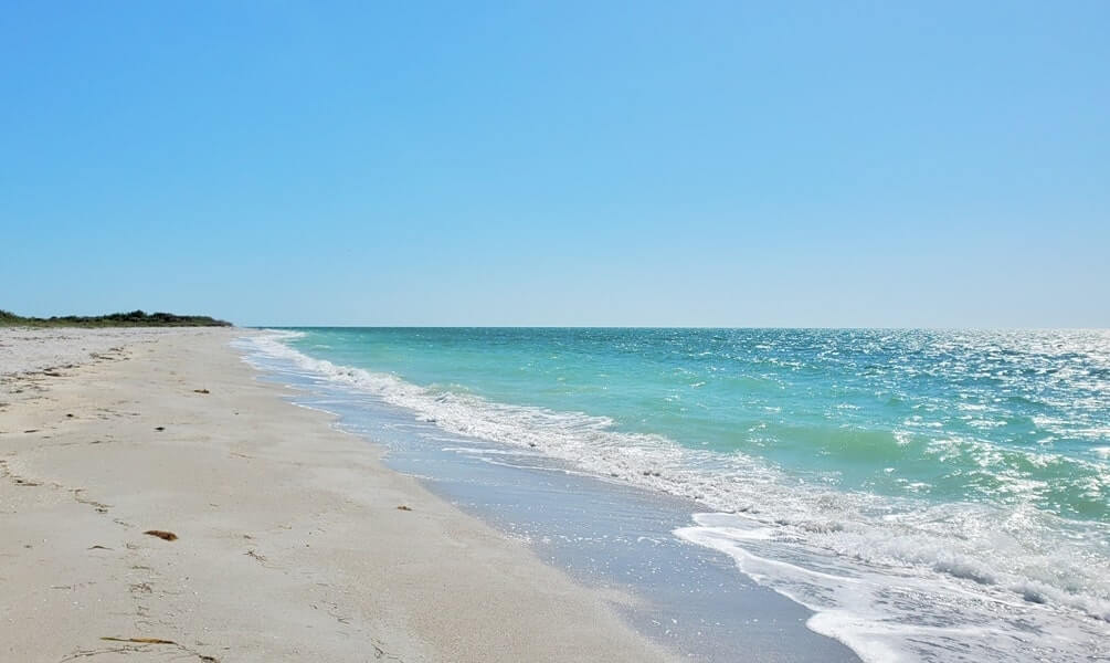 Best Cayo Costa State Park shelling beaches. gulf coast florida travel blog