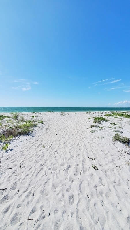 Best Cayo Costa State Park shelling beaches. gulf coast florida travel blog