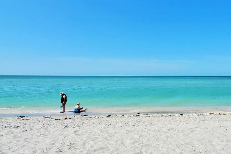 best southwest florida beaches for shelling. best shelling beaches in southwest florida. florida travel blog