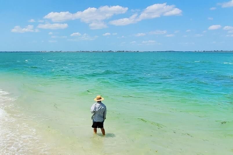best things to do in southwest florida. best florida gulf coast beaches in southwest florida. best places to visit in southwest florida. sw florida travel blog