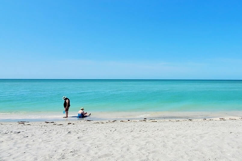 best things to do in southwest florida: best shelling in southwest florida. sw florida travel blog
