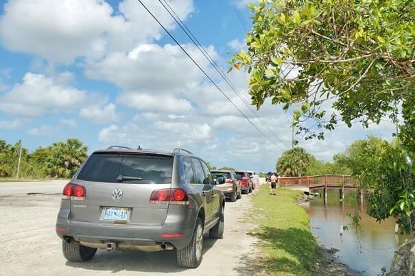 fakahatchee strand state park alligator parking: where to see alligators near tamiami trail. florida state park alligators. florida everglades. florida travel blog