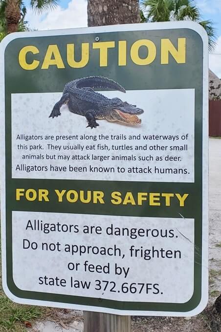 there are alligators in fakahatchee strand state park. florida state park alligator sign. florida travel blog