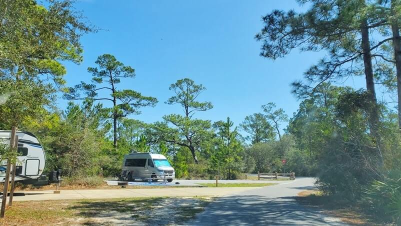 grayton beach state park campground road. florida travel blog