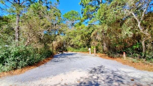 campsite #25. grayton beach state park campsite pictures. rv camping. florida travel blog