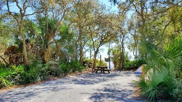 grayton beach state park campsite pictures. tent camping. florida travel blog