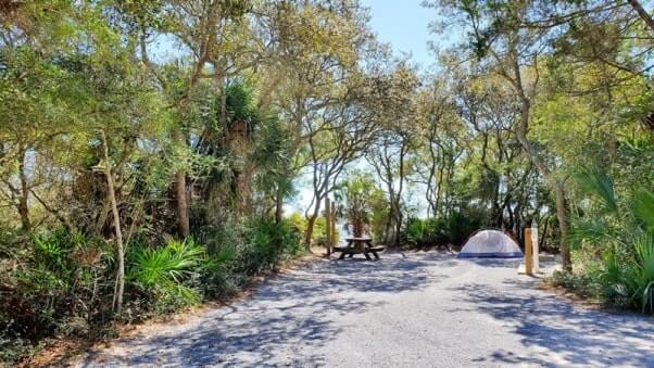 grayton beach state park campsite pictures. tent camping. florida travel blog