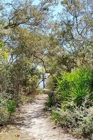 trail from grayton beach state park campground. florida travel blog