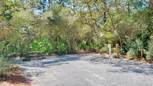 campsite #35. grayton beach state park campsite pictures. rv camping. tent camping. florida travel blog
