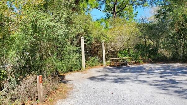 campsite #36. grayton beach state park campsite pictures. rv camping. tent camping. florida travel blog