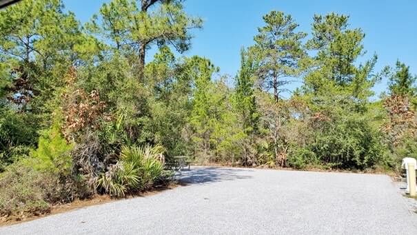 grayton beach state park campsite pictures. rv camping. tent camping. florida travel blog