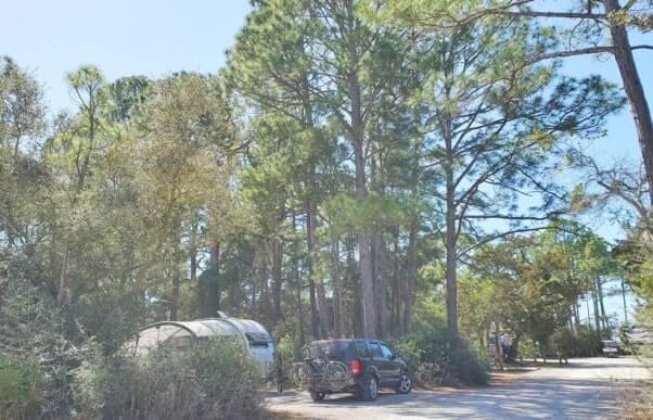 grayton beach state park campground road. florida travel blog