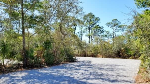 grayton beach state park campsite pictures. tent camping. rv camping. florida travel blog