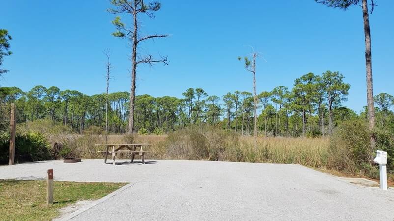 campsite #4. grayton beach state park campsite pictures. tent camping. rv camping. florida travel blog