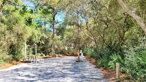 campsite #11. grayton beach state park campsite pictures. tent camping. rv camping. florida travel blog