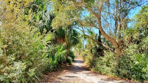 trail from grayton beach state park campground. florida travel blog
