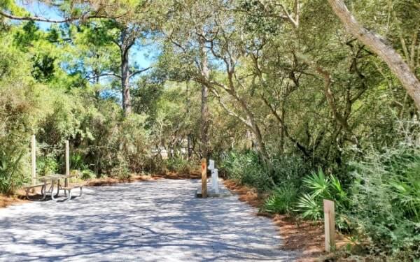 grayton beach state park campground has water and electrcity at each campsite. florida travel blog