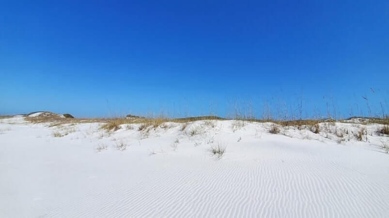 grayton beach state park campground near beach. florida state parks camping. florida panhandle travel blog