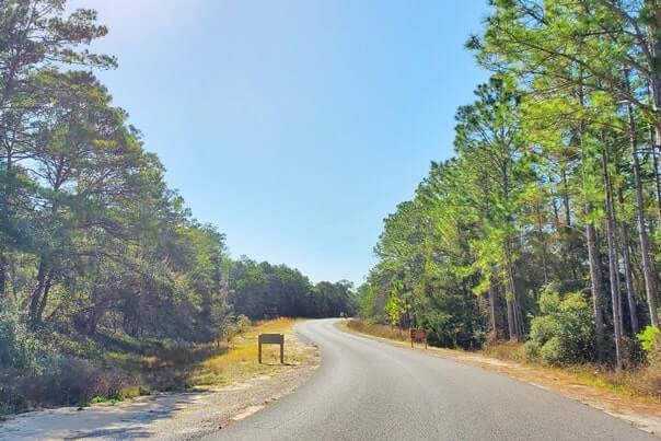 grayton beach state park campground road. florida travel blog