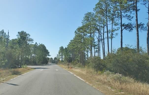 grayton beach state park campground road. florida travel blog