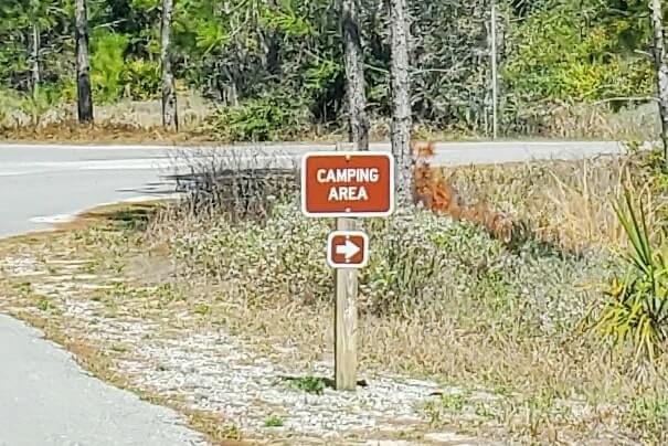 grayton beach state park campground road. florida travel blog