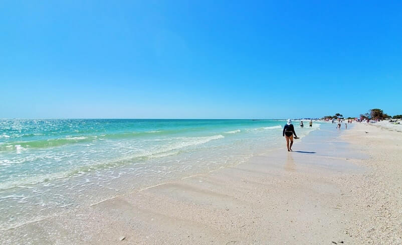 honeymoon island state park shelling beaches: walk from oasis beach to north beach. florida travel blog
