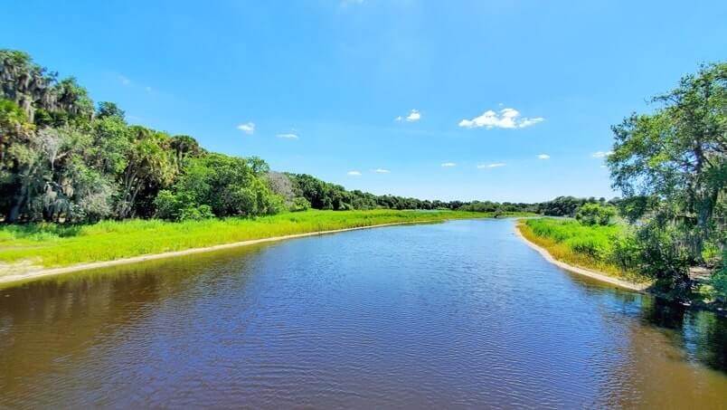 Marco Island to Tampa drive: myakka river state park. where to see alligators between marco island and tampa. marco island to myakka river state park to tampa. florida road trip travel blog