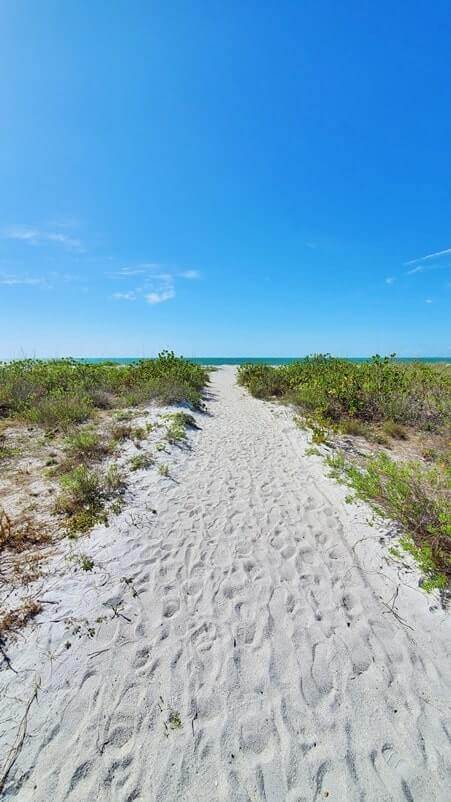 Marco Island to Tampa drive: cayo costa state park. state parks between marco island and tampa. marco island to cayo costa state park to tampa. florida road trip travel blog