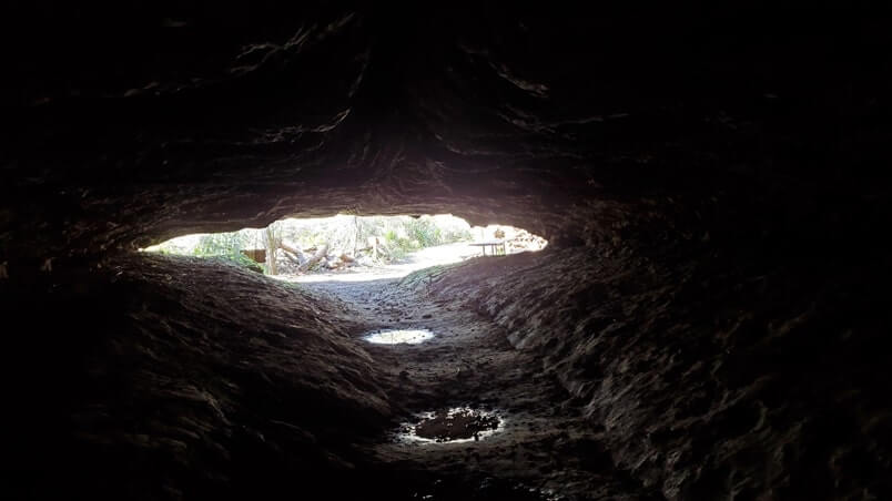 Pensacola to Orlando drive: Stop to see florida caverns state park. caves between pensacola and orlando. florida road trip travel blog
