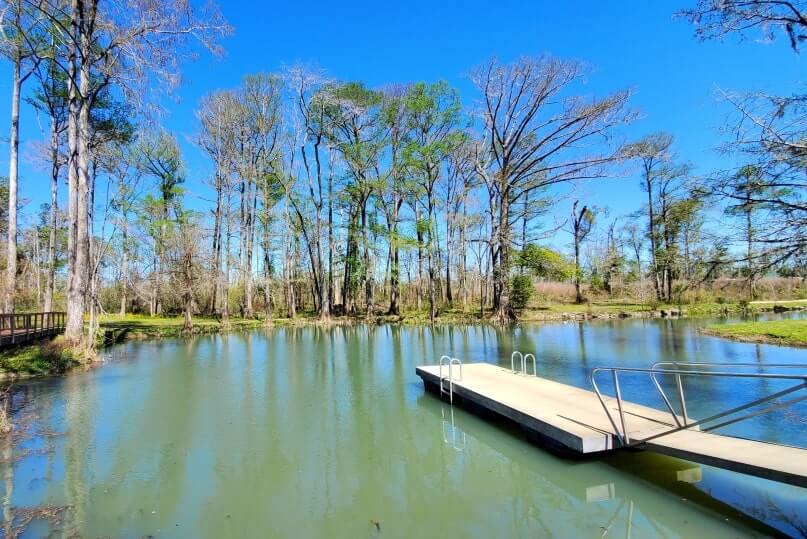 Pensacola to Orlando drive: Stop to see florida caverns state park springs. florida springs between pensacola and orlando. florida road trip travel blog