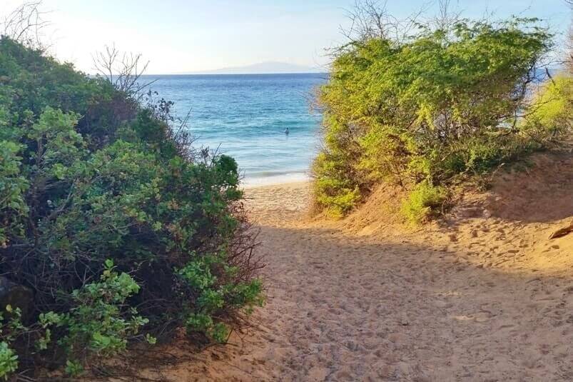 south maui beaches: little beach. maui hawaii travel blog