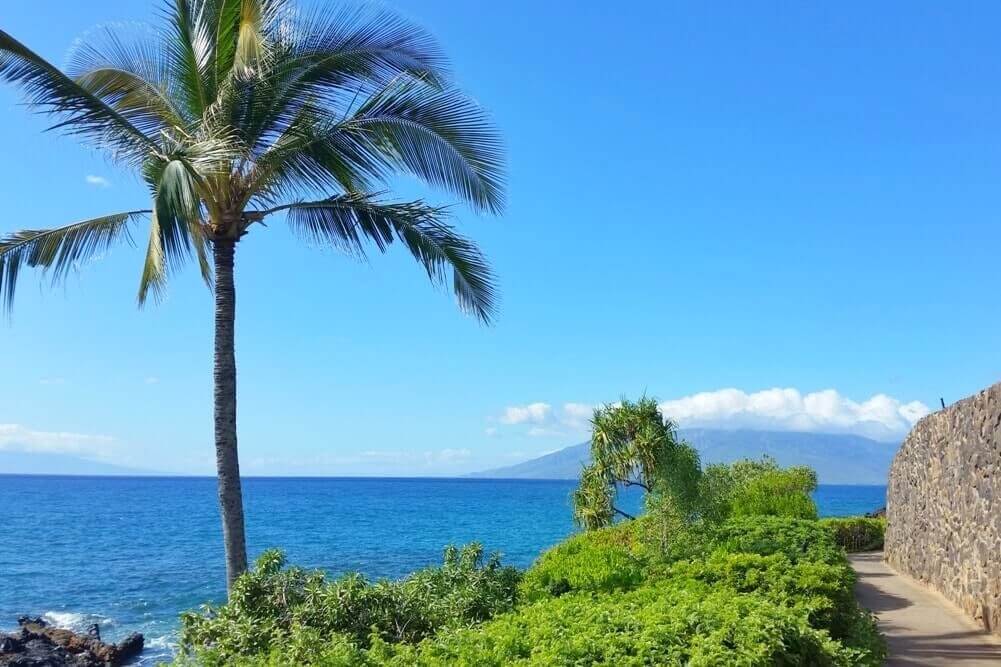 south maui beaches. south maui beach walk. wailea beach path. maui hawaii travel blog