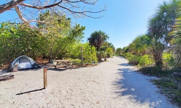 southwest florida beach camping: cayo costa state park camping near beach. tent camping state park. florida travel blog
