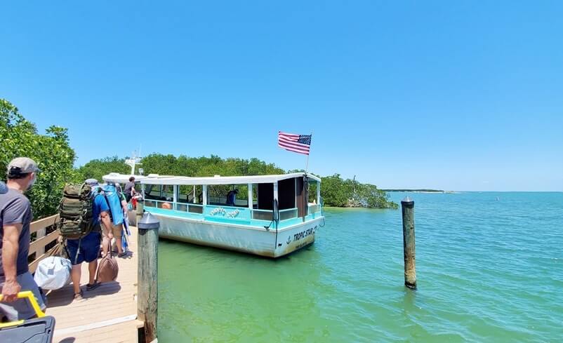 southwest florida beach camping: cayo costa state park camping near beach. florida travel blog