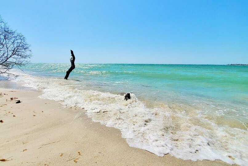 southwest florida beach hike: cayo costa state park hiking to beach. florida travel blog