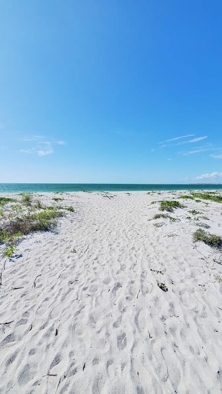 southwest florida beach state park island: cayo costa state park beach. florida travel blog