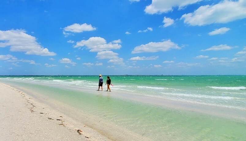 best southwest florida beaches: sanibel island beach. florida travel blog