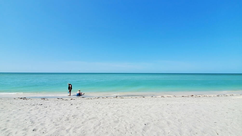 best southwest florida beaches shelling: sanibel island beach shelling. florida travel blog