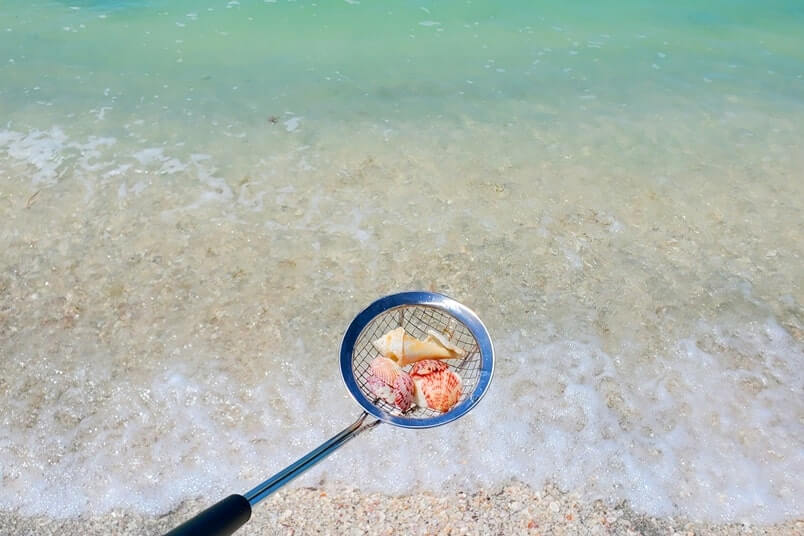 best southwest florida beaches shelling: sanibel island beach shelling. florida travel blog