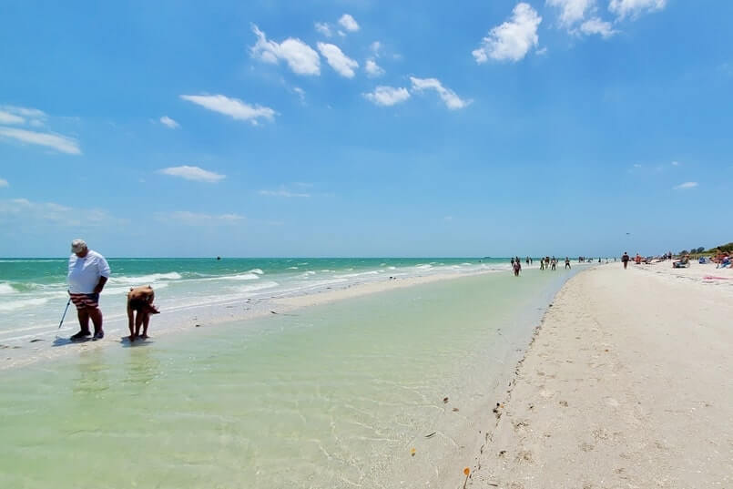 best southwest florida beaches shelling: sanibel island beach shelling. florida travel blog