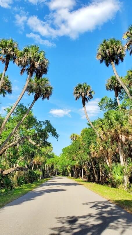 Tampa to Marco Island drive: myakka river state park. state parks between tampa and marco island. tampa to myakka river state park to marco island. florida road trip travel blog