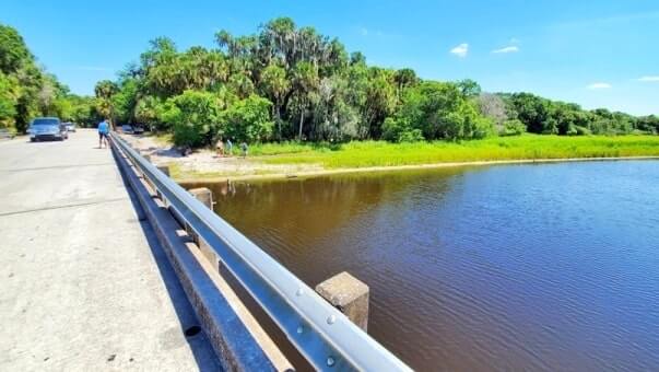 Things to do in Southwest Florida: Myakka River State Park alligators. Best places to visit in Southwest Florida: Myakka River State Park. sw florida road trip travel blog
