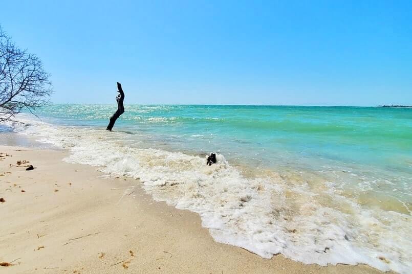 Things to do in Southwest Florida: Cayo Costa State Park island. Best places to visit in Southwest Florida: Cayo Costa State Park. sw florida road trip travel blog
