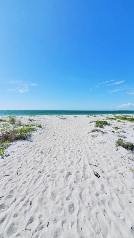 Things to do in Southwest Florida: Cayo Costa State Park island. Best places to visit in Southwest Florida: Cayo Costa State Park. sw florida road trip travel blog