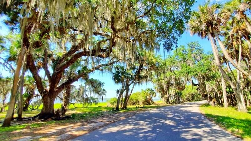 Things to do in Southwest Florida: scenic drive in Myakka River State Park. Best places to visit in Southwest Florida: Myakka River State Park. sw florida road trip travel blog