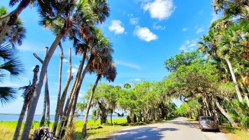Things to do in Southwest Florida: scenic drive in Myakka River State Park. Best places to visit in Southwest Florida: Myakka River State Park. sw florida road trip travel blog