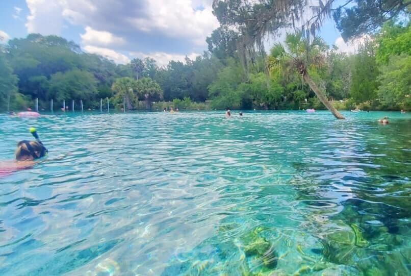 atlanta to disney world drive: florida springs between atlanta and disney world. georgia to disney world road trip stops. florida travel blog