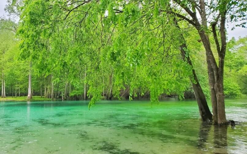 atlanta to disney world drive: gilchrist blue springs state park. georgia to disney world road trip stops. florida travel blog